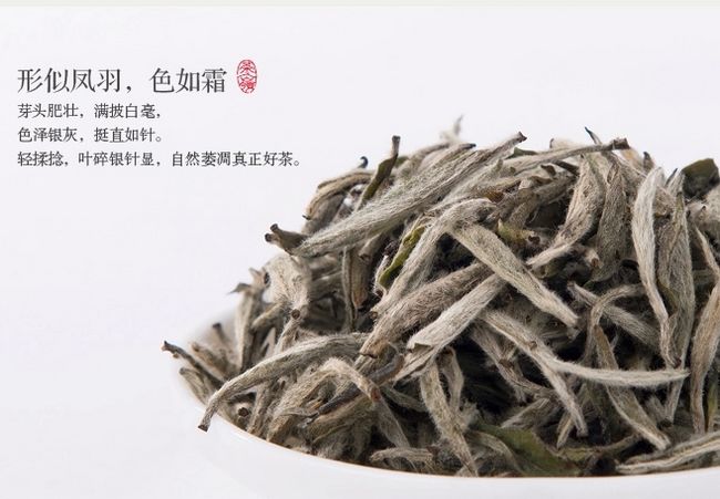 ë茏u