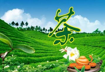 xُF^E[
